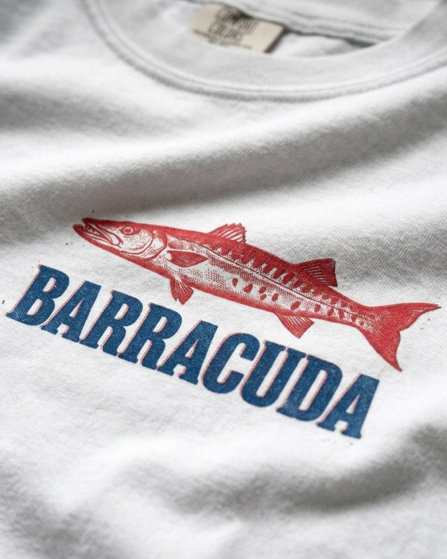Barracuda 1970
