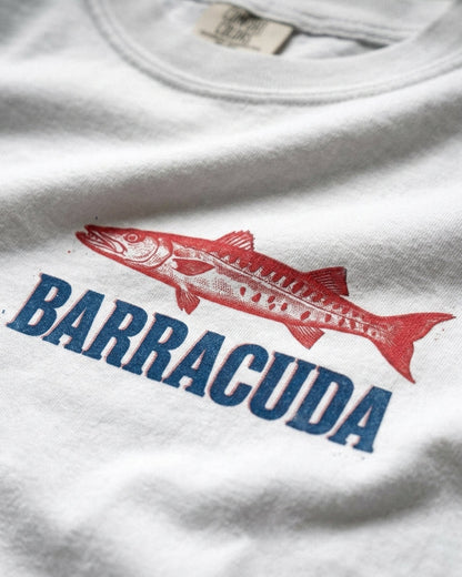 Barracuda 1970
